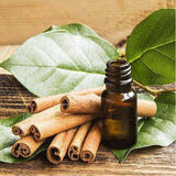 Cinnamon Leaf Oil Manufacturers