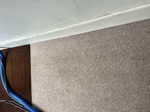 Restoring North London with expert carpet cleaning