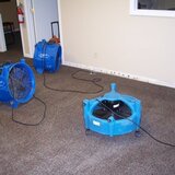 Experience the Best in Water Damage Restoration in Hillsboro, OR
