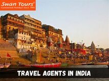 Why Choose Swan Tours for Your Next Tour in India