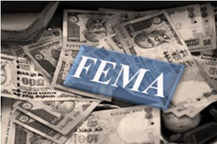 Top FEMA Consultants
