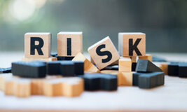 Best Risk Advisory Service
