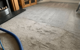 Trusted Choice for Carpet Cleaning in Charlotte NC