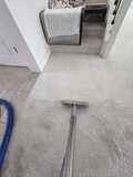 Enhance your Living Space with Expert Carpet Cleaning in Roseville