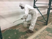 Professional Mold Removal in Toronto - Say Goodbye to Mold Today!