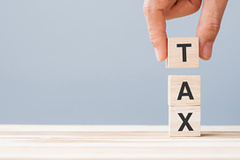 Expert Tax Consultants in India