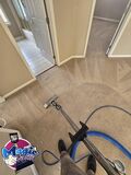 Experience Cleanliness With Top-Rated Carpet Cleaning in Parker CO