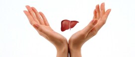 You Should Know About Liver Transplant Cost in India