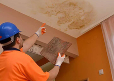 mold removal and remediation in Everett, WA