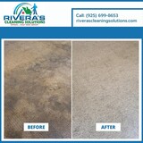 The Ultimate Guide for Carpet Cleaning in Concord, CA