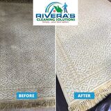 Local Carpet Cleaning Company In Concord CA