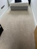 Kensington’s Trusted Carpet Cleaning
