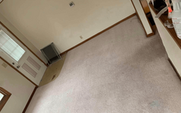 Eco-Friendly Carpet Cleaning in Newton
