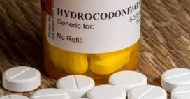 Buy Hydrocodone 10-650 mg Online Without Prescription