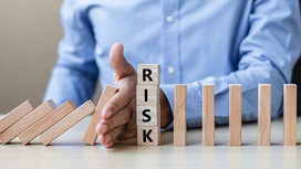 Risk Advisory Service