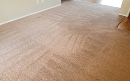 Top-Quality Carpet Cleaning in Paso Robles CA