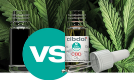 Cannabis Oil - Cibdol