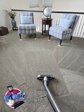 Proficient Carpet Cleaning in Highlands Ranch CO