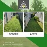Professional Landscape Maintenance in Portland OR