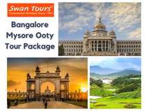 Discover the beauty of South India with the Bangalore Mysore Ooty Tour Package.