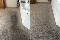 Discover the Magic of Clean Carpets - Carpet Cleaning in Riverside!