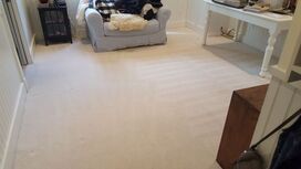 Effective Carpet Cleaning in Studio City