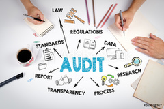 Audit Firms In India