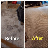 Cost-Effective Carpet Cleaning Pottstown PA