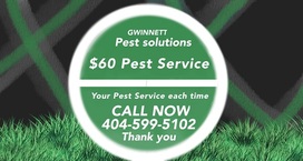 Gwinnett Pest Solutions