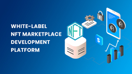 White Label NFT Marketplace Development - Best way to initiate your NFT business