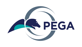 PEGA 8.1 Online Training By VISWA Online Trainings From Hyderabad India