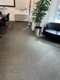 Chiswick’s carpet cleaning specialists