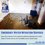 Expert Water Mitigation Services in Indianapolis, IN