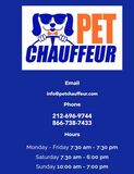 pet transportation services in New York City