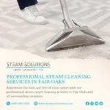 Professional Steam Cleaning Services In Fair Oaks
