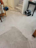 Transform Your Floors with Professional Carpet Cleaning in Las Vegas