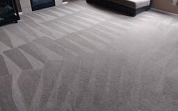 Top-tier Carpet Cleaning in Highlands Ranch CO