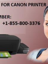 Local Business Contact Us - Canon Printer Help in w.14 mile road MI