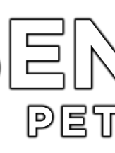 Senergy Petroleum – Corporate Office