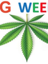 Google Weed Delivery